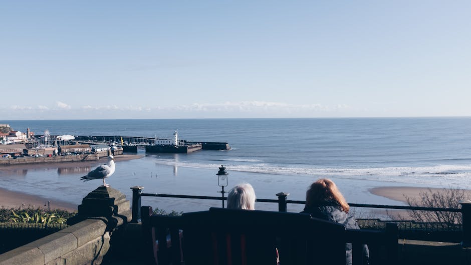 Sunderland local culture, roker park, roker pier – Sunderland’s Local Culture: Exploring Roker Park and Roker Pier